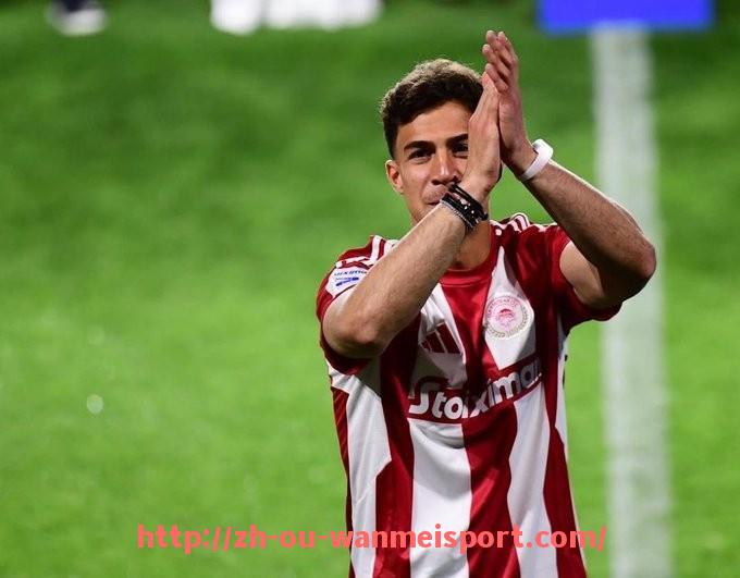 完美体育app-德甲足球队国徽详解，象征意义与设计理念全面解析